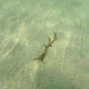 ヒメ日記 2025/07/21 22:54 投稿 せな 一宮稲沢小牧ちゃんこ