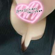 ヒメ日記 2025/07/23 16:34 投稿 せな 一宮稲沢小牧ちゃんこ