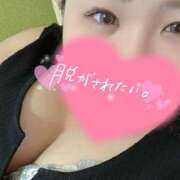 ヒメ日記 2025/07/28 12:52 投稿 せな 一宮稲沢小牧ちゃんこ