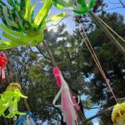 ヒメ日記 2025/07/31 09:44 投稿 せな 一宮稲沢小牧ちゃんこ