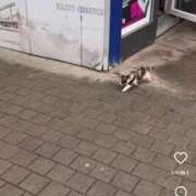 ヒメ日記 2025/08/15 19:44 投稿 せな 一宮稲沢小牧ちゃんこ