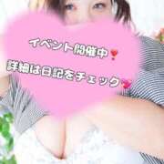 ヒメ日記 2025/08/17 11:44 投稿 せな 一宮稲沢小牧ちゃんこ