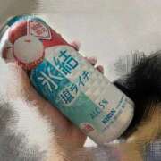 ヒメ日記 2025/08/24 15:04 投稿 せな 一宮稲沢小牧ちゃんこ