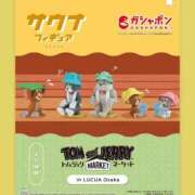 ヒメ日記 2025/09/07 23:14 投稿 せな 一宮稲沢小牧ちゃんこ