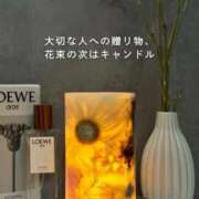 ヒメ日記 2025/09/19 23:55 投稿 せな 一宮稲沢小牧ちゃんこ