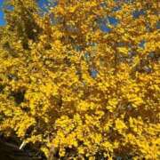 ヒメ日記 2025/09/21 20:04 投稿 せな 一宮稲沢小牧ちゃんこ