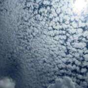 ヒメ日記 2025/09/24 00:14 投稿 せな 一宮稲沢小牧ちゃんこ