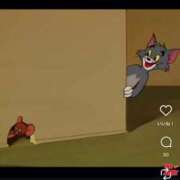 ヒメ日記 2025/09/25 16:24 投稿 せな 一宮稲沢小牧ちゃんこ