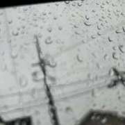 ヒメ日記 2025/09/25 22:04 投稿 せな 一宮稲沢小牧ちゃんこ