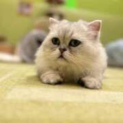 ヒメ日記 2025/09/30 19:29 投稿 せな 一宮稲沢小牧ちゃんこ