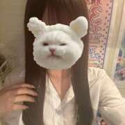 ヒメ日記 2025/06/24 18:50 投稿 りの an_an（アンアン）