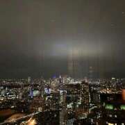 りの 🌷🕊 an_an（アンアン）