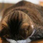 ヒメ日記 2026/02/14 14:18 投稿 神田ますみ 変態素人嬢ダダモーレ弐号店