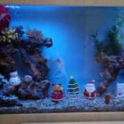 ヒメ日記 2024/12/17 16:31 投稿 あやか One More奥様　町田相模原店