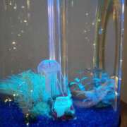 ヒメ日記 2024/12/17 19:02 投稿 あやか One More奥様　町田相模原店