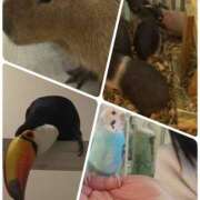 ヒメ日記 2025/01/25 17:58 投稿 あやか One More奥様　町田相模原店