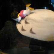 ヒメ日記 2025/06/15 16:41 投稿 あやか One More奥様　町田相模原店