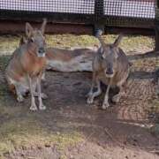 ヒメ日記 2025/07/31 06:42 投稿 あやか One More奥様　町田相模原店