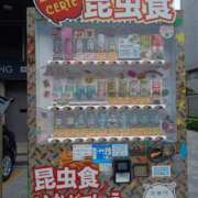 ヒメ日記 2025/10/09 12:54 投稿 あやか One More奥様　町田相模原店