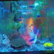 ヒメ日記 2026/04/29 18:20 投稿 あやか One More奥様　町田相模原店