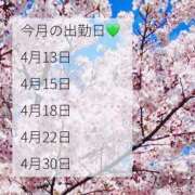 せいら 駆け込みで桜を撮ることが叶いました ハピネス福岡