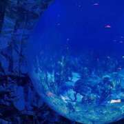 まひる 万博😽 ビギナーズ神戸