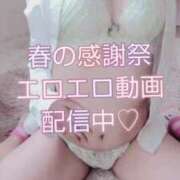 ヒメ日記 2025/04/11 16:08 投稿 なずな One More奥様　八王子店