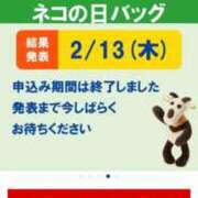 ヒメ日記 2025/02/09 18:03 投稿 しおり コスパラ