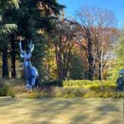 ヒメ日記 2025/02/22 11:30 投稿 しおり コスパラ