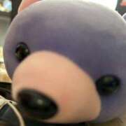 ヒメ日記 2025/02/24 11:30 投稿 しおり コスパラ