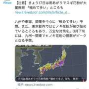 ヒメ日記 2025/03/17 13:30 投稿 しおり コスパラ