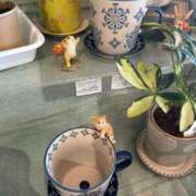 ヒメ日記 2025/05/16 09:45 投稿 しおり コスパラ