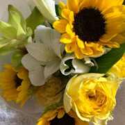 ヒメ日記 2025/08/19 09:38 投稿 しおり コスパラ