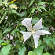 ヒメ日記 2025/09/16 09:50 投稿 しおり コスパラ