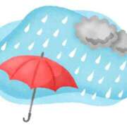 ヒメ日記 2025/10/31 17:30 投稿 しおり コスパラ