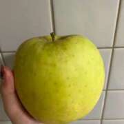 ヒメ日記 2025/11/05 10:08 投稿 しおり コスパラ