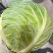 ヒメ日記 2025/11/25 09:00 投稿 しおり コスパラ