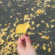 ヒメ日記 2025/11/28 19:00 投稿 しおり コスパラ