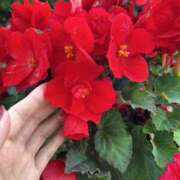 ヒメ日記 2025/11/30 18:00 投稿 しおり コスパラ