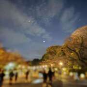 しおり こんな夜空が コスパラ