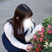 ヒメ日記 2025/12/15 12:30 投稿 しおり コスパラ