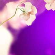 ヒメ日記 2025/05/17 10:25 投稿 ゆき 性腺熟女100％（デリヘル市場）