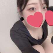 ヒメ日記 2026/04/08 12:45 投稿 小鳥遊　せいら ZENITH OSAKA（ゼニス大阪）