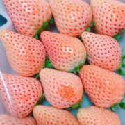 ヒメ日記 2025/01/14 00:01 投稿 神田 けい Men's relaxation VEGA