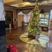 ヒメ日記 2025/11/12 16:30 投稿 神田 けい Men's relaxation VEGA