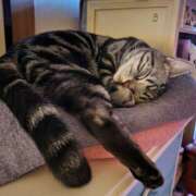 ヒメ日記 2024/12/31 10:49 投稿 高山 誘惑マル秘ミセス