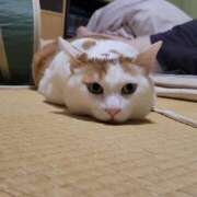 ヒメ日記 2025/01/24 09:12 投稿 高山 誘惑マル秘ミセス