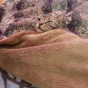 ヒメ日記 2025/01/25 19:05 投稿 高山 誘惑マル秘ミセス