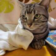 ヒメ日記 2025/01/31 09:12 投稿 高山 誘惑マル秘ミセス