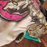 ヒメ日記 2025/01/31 15:50 投稿 高山 誘惑マル秘ミセス